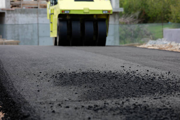 Best Interlocking Driveway Pavers  in Pecan Acres, TX