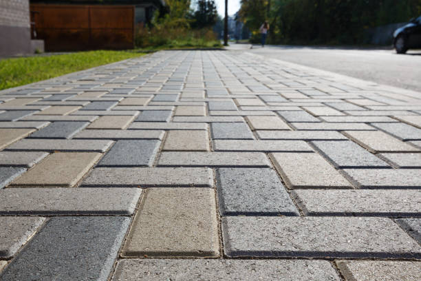 Best Best Driveway Pavers  in Pecan Acres, TX